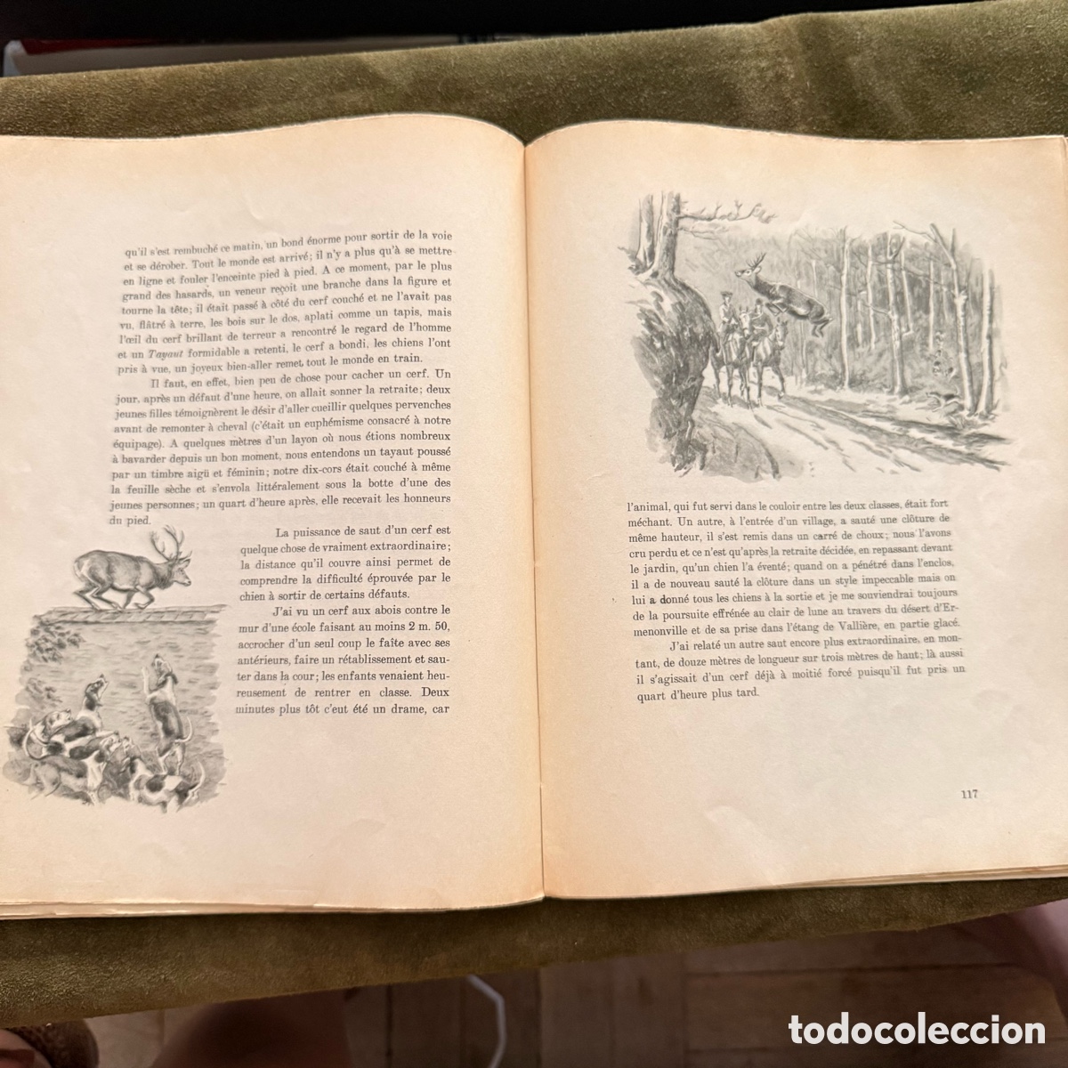 Libros: ANIMAUX DE VENERIE ET CHASSE AUX CHIENS COURANTS