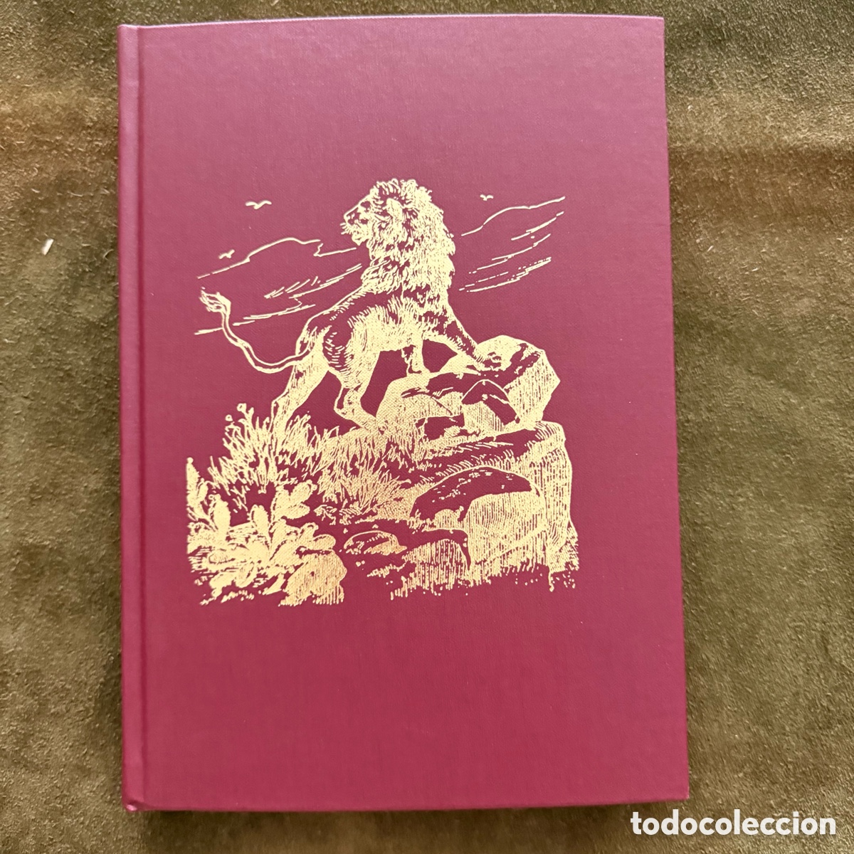 Libros: UN SAFARI DE CINCO MESES EN EL PA&Iacute;S DE LOS SOMAL&Iacute;ES