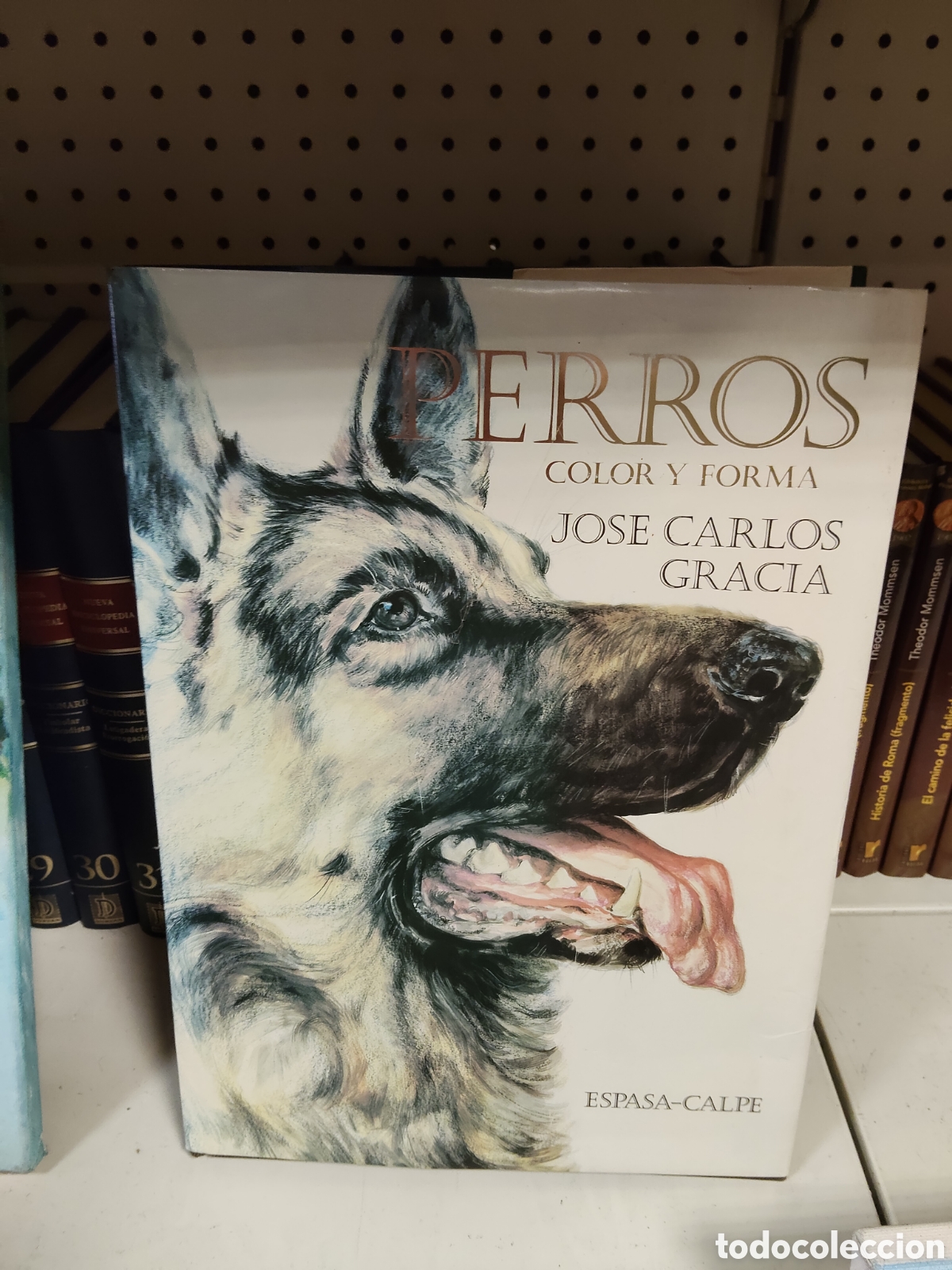 Libros: Perros color y forma