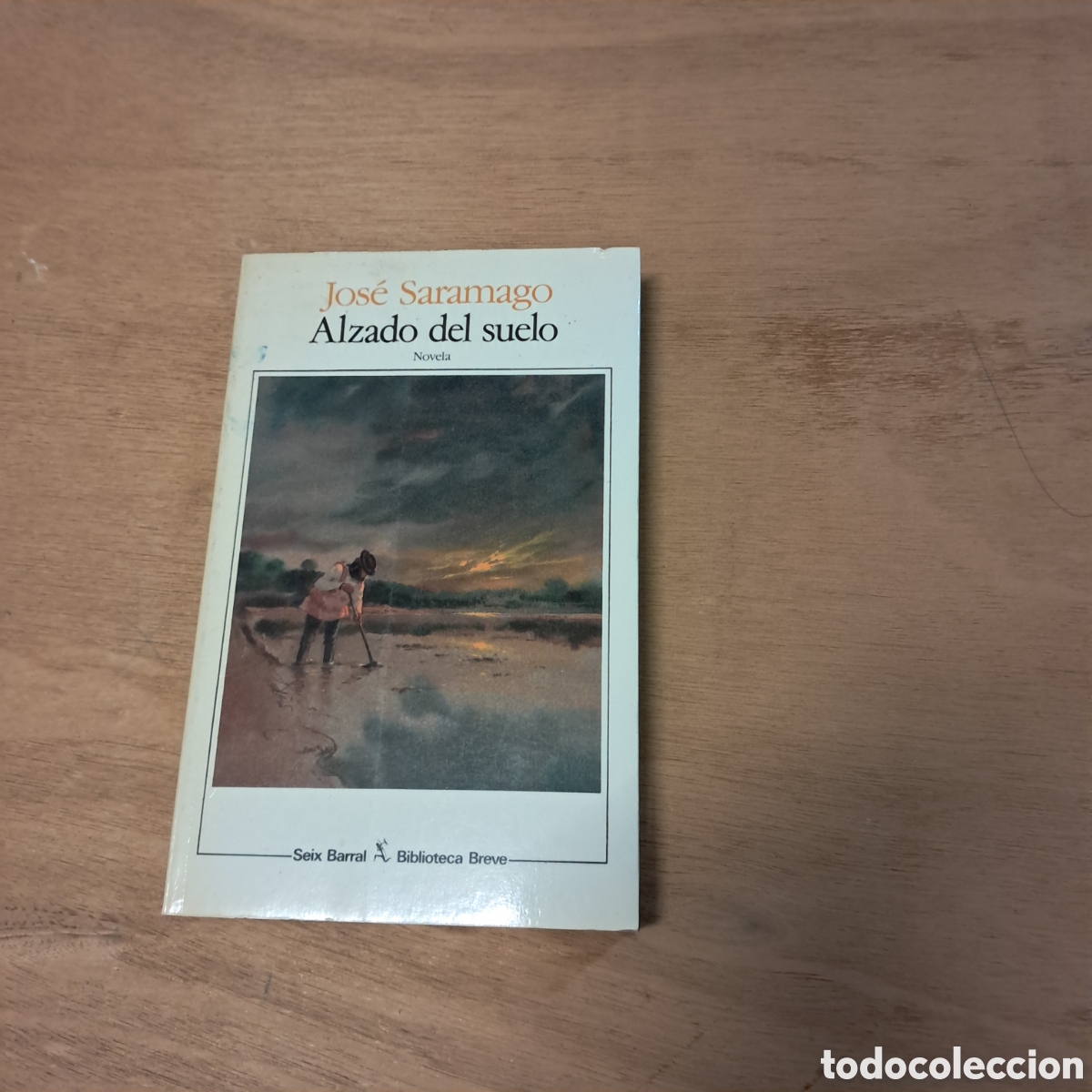 Libros: Jose Saramago, Alzado del sue&ntilde;o, Seix Barral