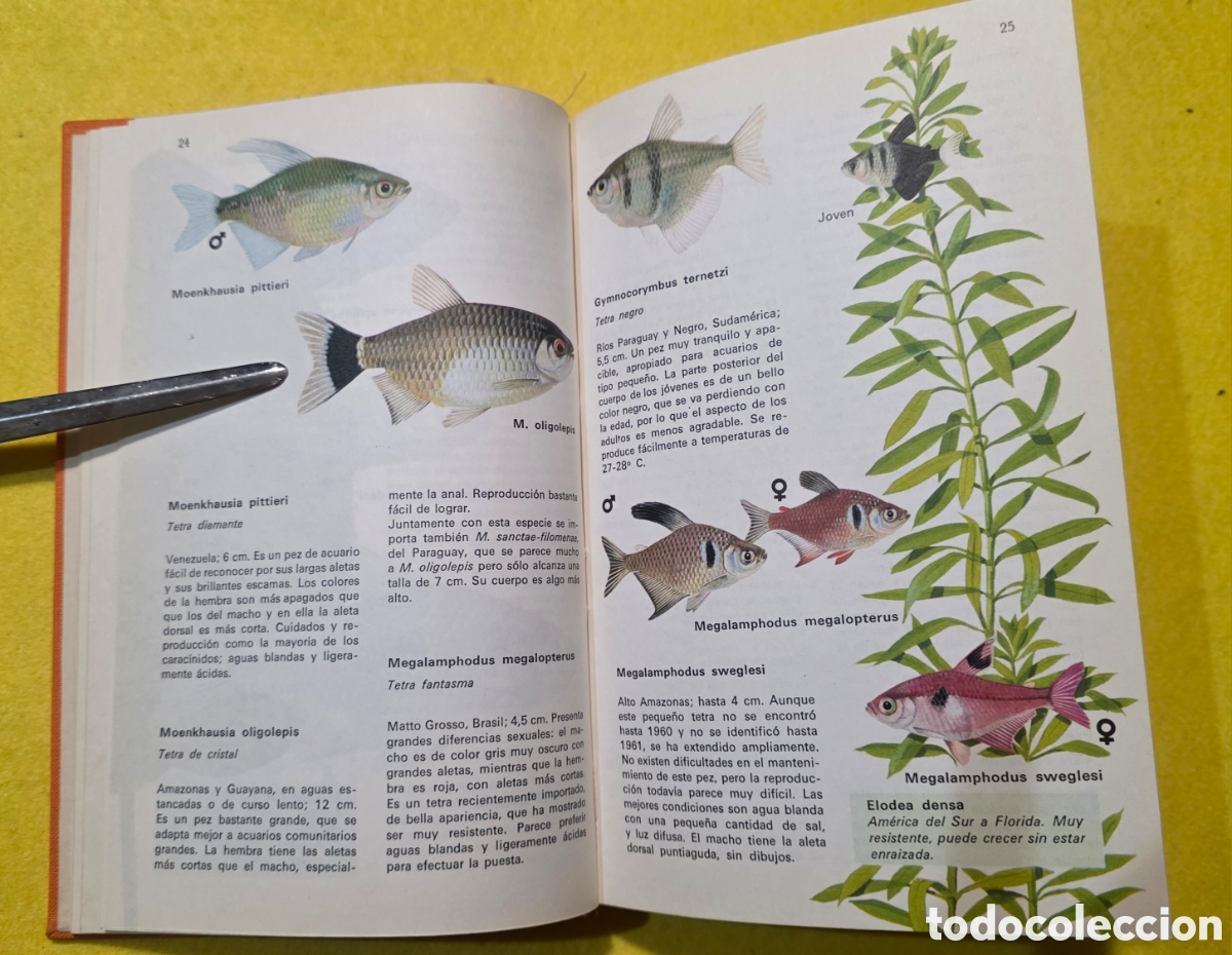 Libros: Los peces de acuario - Foto 4