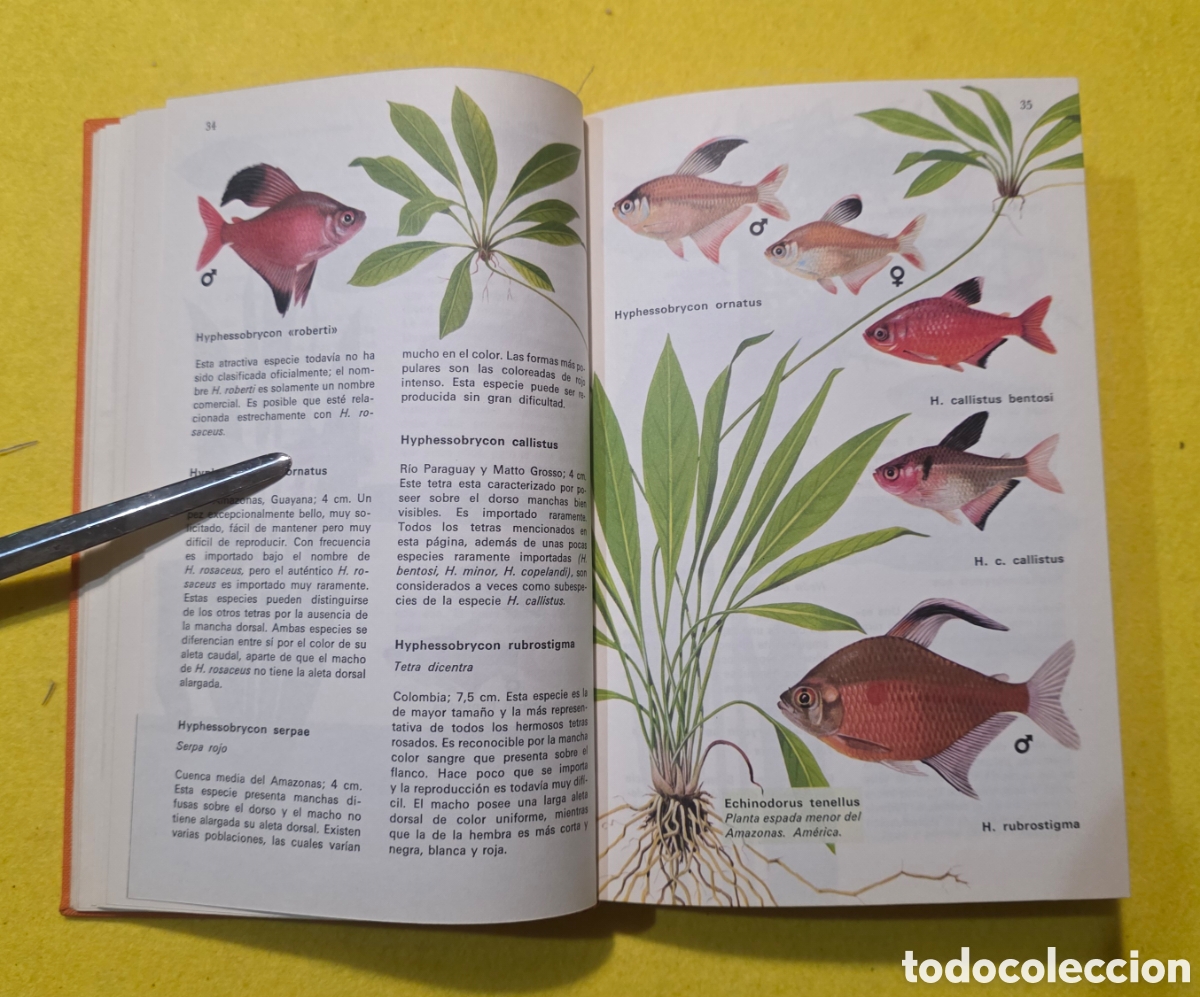 Libros: Los peces de acuario - Foto 5