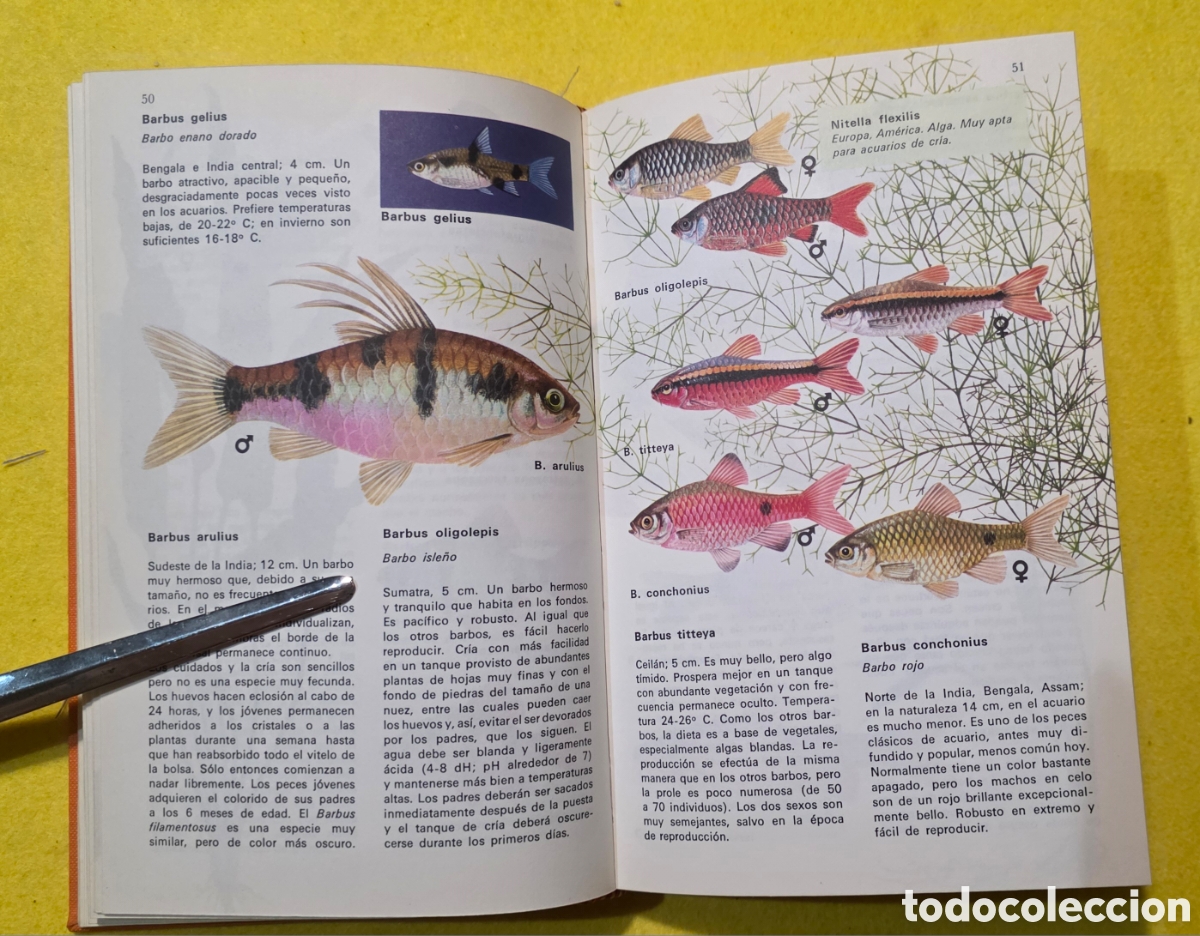Libros: Los peces de acuario - Foto 6