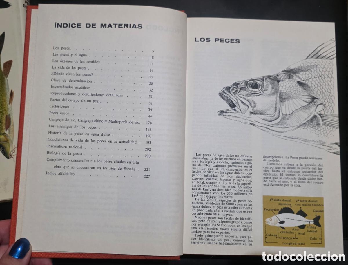 Libros: Los peces de agua dulce - Foto 5