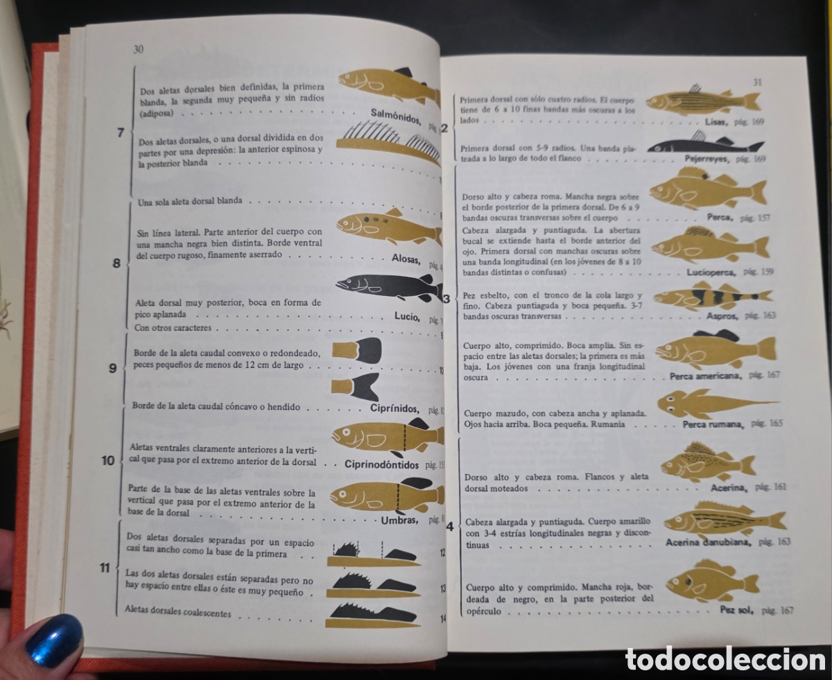 Libros: Los peces de agua dulce - Foto 7