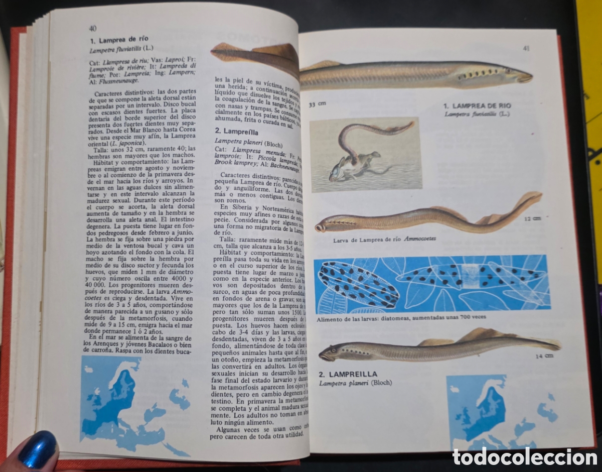Libros: Los peces de agua dulce - Foto 8