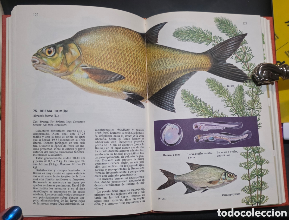 Libros: Los peces de agua dulce - Foto 9