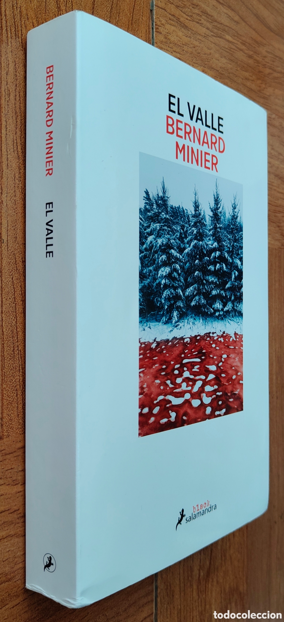 Libri di seconda mano: El Valle � Salamandra - Bernard Minier
