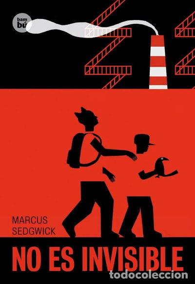 Libri di seconda mano: No es invisible- 9788483433096