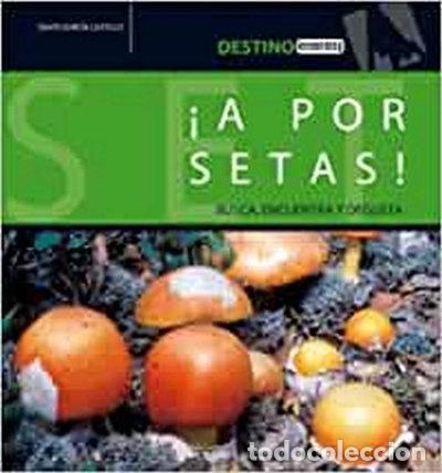 Libros: &iexcl;A por setas!- 9788424105198