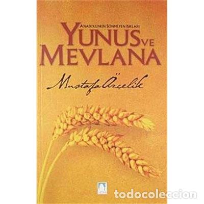 books: Anadolu'nun S&ouml;nmeyen Işıkları: Yunus ve Mevlana- 9789759089764