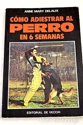 books: C&oacute;mo adiestrar al perro en 6 semanas- 9788431501808