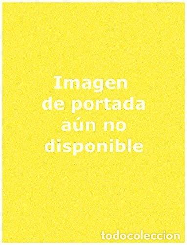 B&uuml;cher: Las grandes piedras de la Prehistoria- 9788482669533