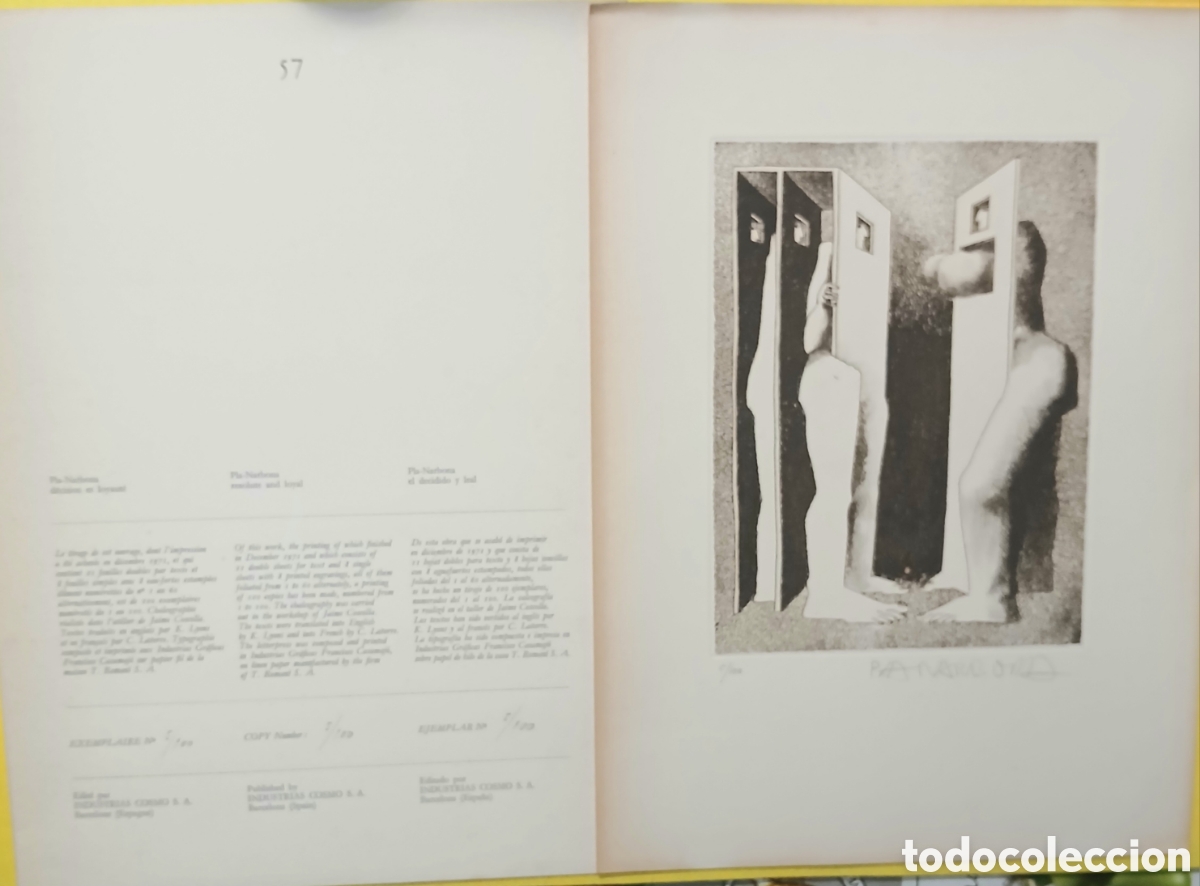 Libros: El decidido y leal Pla-Narbona - Foto 15
