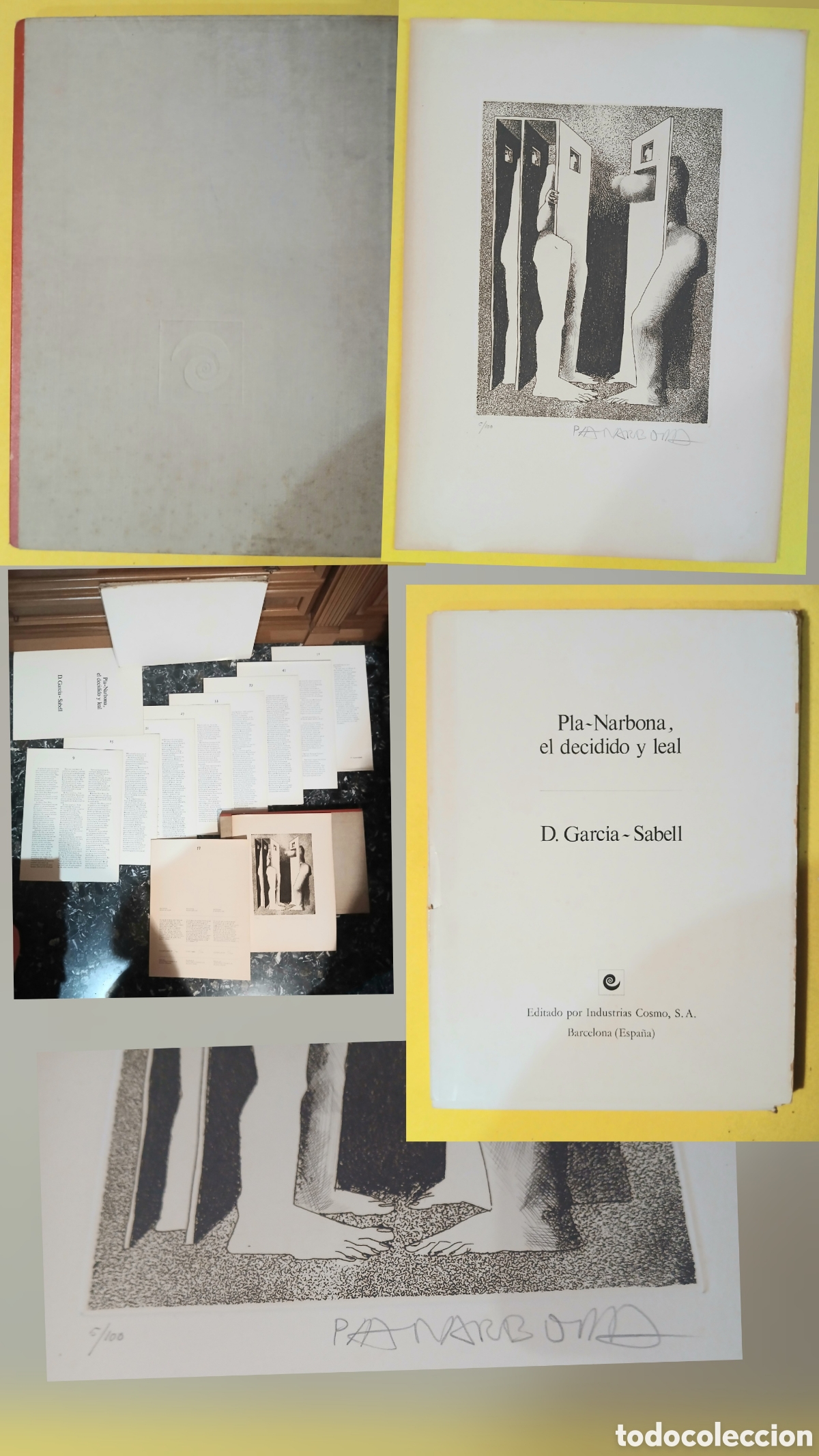 Libros: El decidido y leal Pla-Narbona