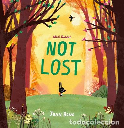books: Mini Rabbit Not Lost- 9780008264840