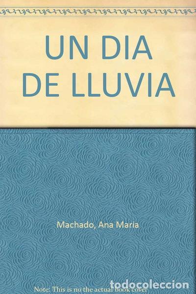 Livres: Un d&iacute;a de lluvia- 9789587043594