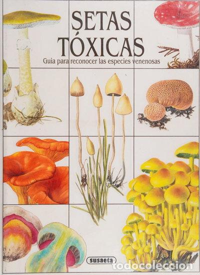 B&uuml;cher: Setas t&oacute;xicas- 9788430577200