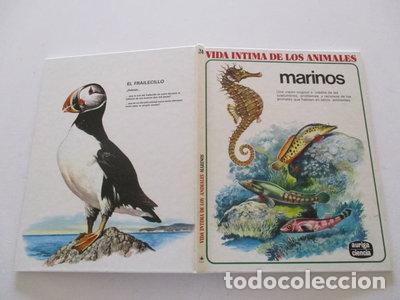 Libros: Vida &iacute;ntima de los animales marinos- 9788432125485
