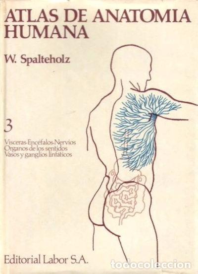 B&uuml;cher: Atlas de Anatom&iacute;a Humana, 3- 9788433561169
