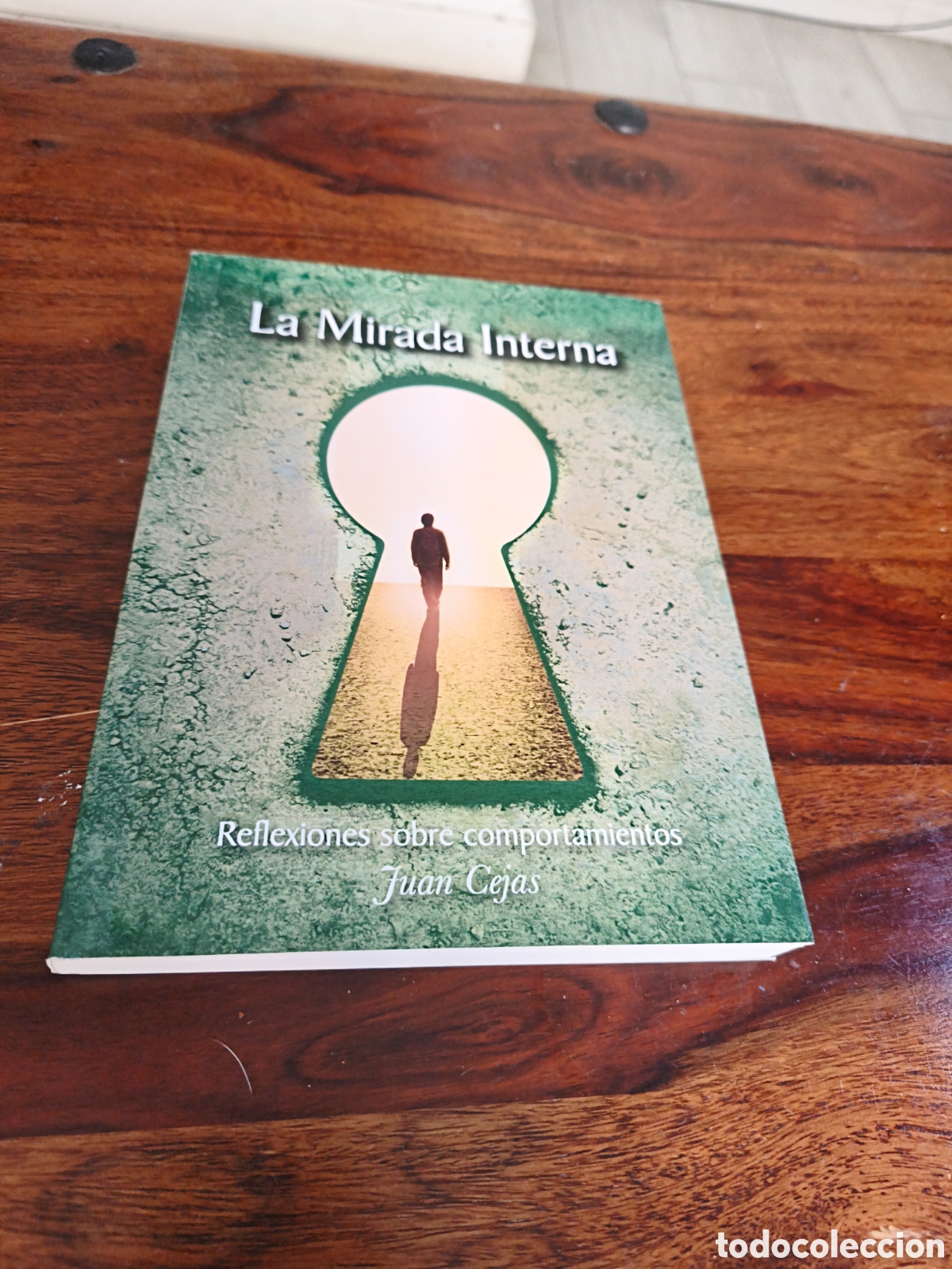 Libros: La mirada interna juan cejas