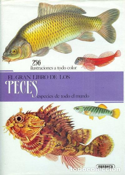 books: El Gran Libro de los Peces: Especies de Todo el Mundo- 9788430520008