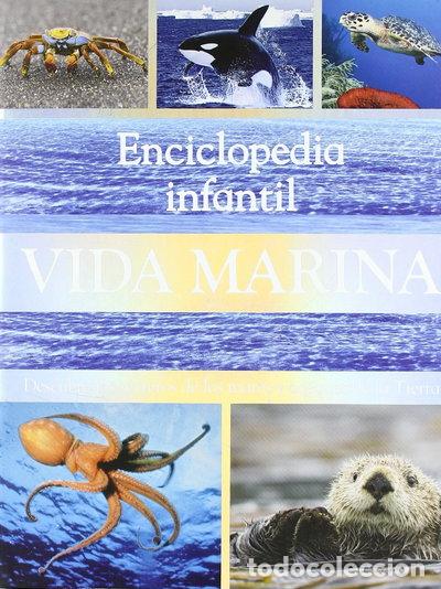 Libri di seconda mano: Enciclopedia Infantil Vida Marina- 9781407562223