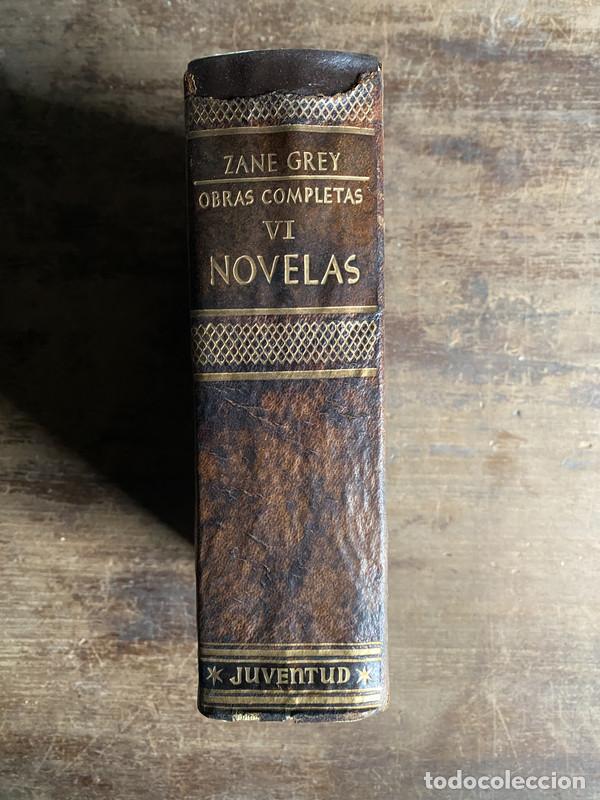 books: Obras Completas VI - Grey Zane
