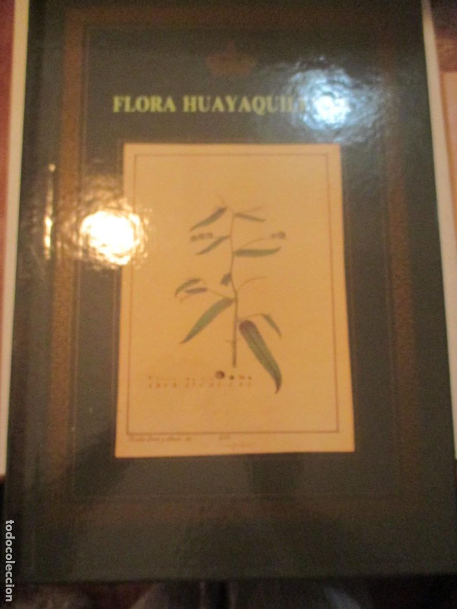 Libros: FLORA HUAYAQUILENSIS (facsimil) W41471