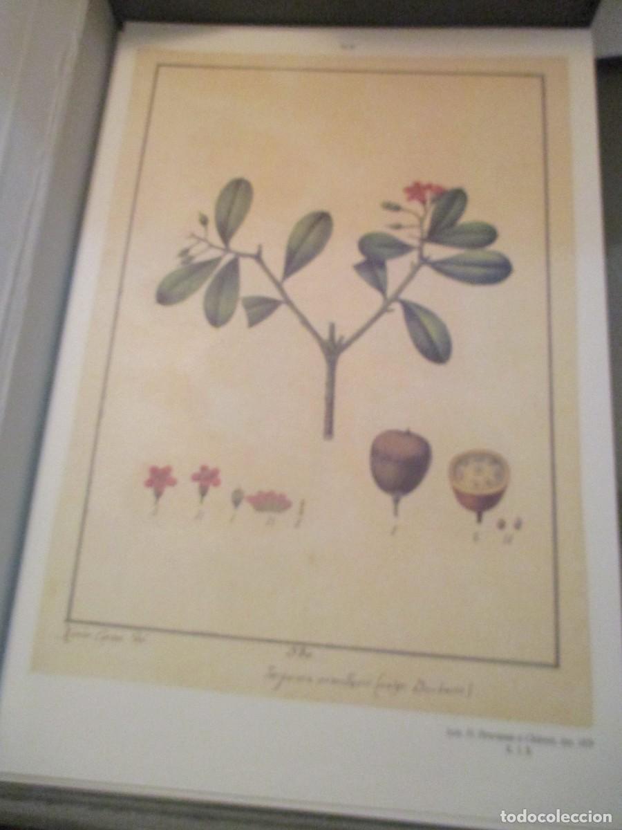 Libros: FLORA HUAYAQUILENSIS (facsimil) W41471 - Foto 3