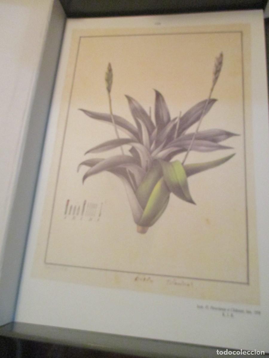 Libros: FLORA HUAYAQUILENSIS (facsimil) W41471 - Foto 4