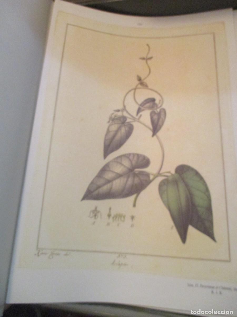 Libros: FLORA HUAYAQUILENSIS (facsimil) W41471 - Foto 5