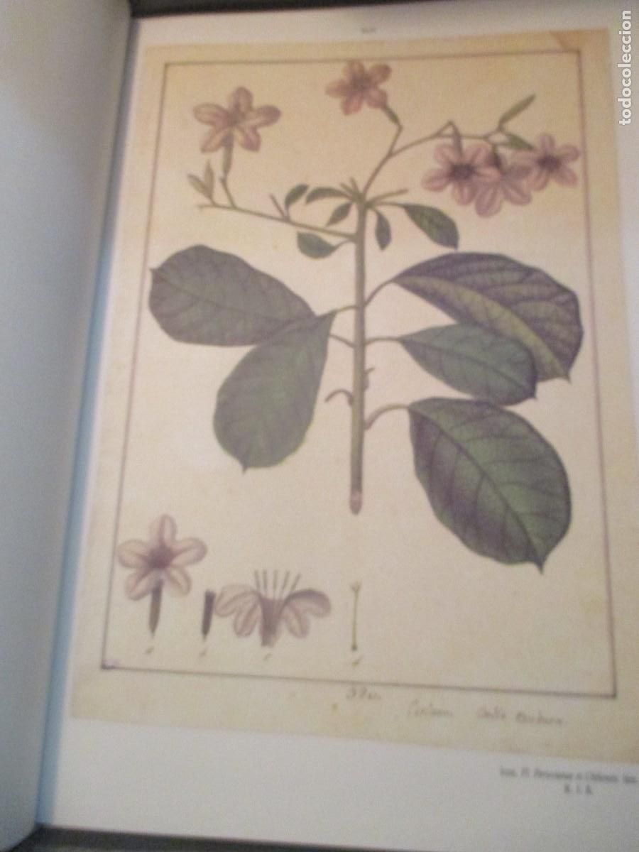 Libros: FLORA HUAYAQUILENSIS (facsimil) W41471 - Foto 6