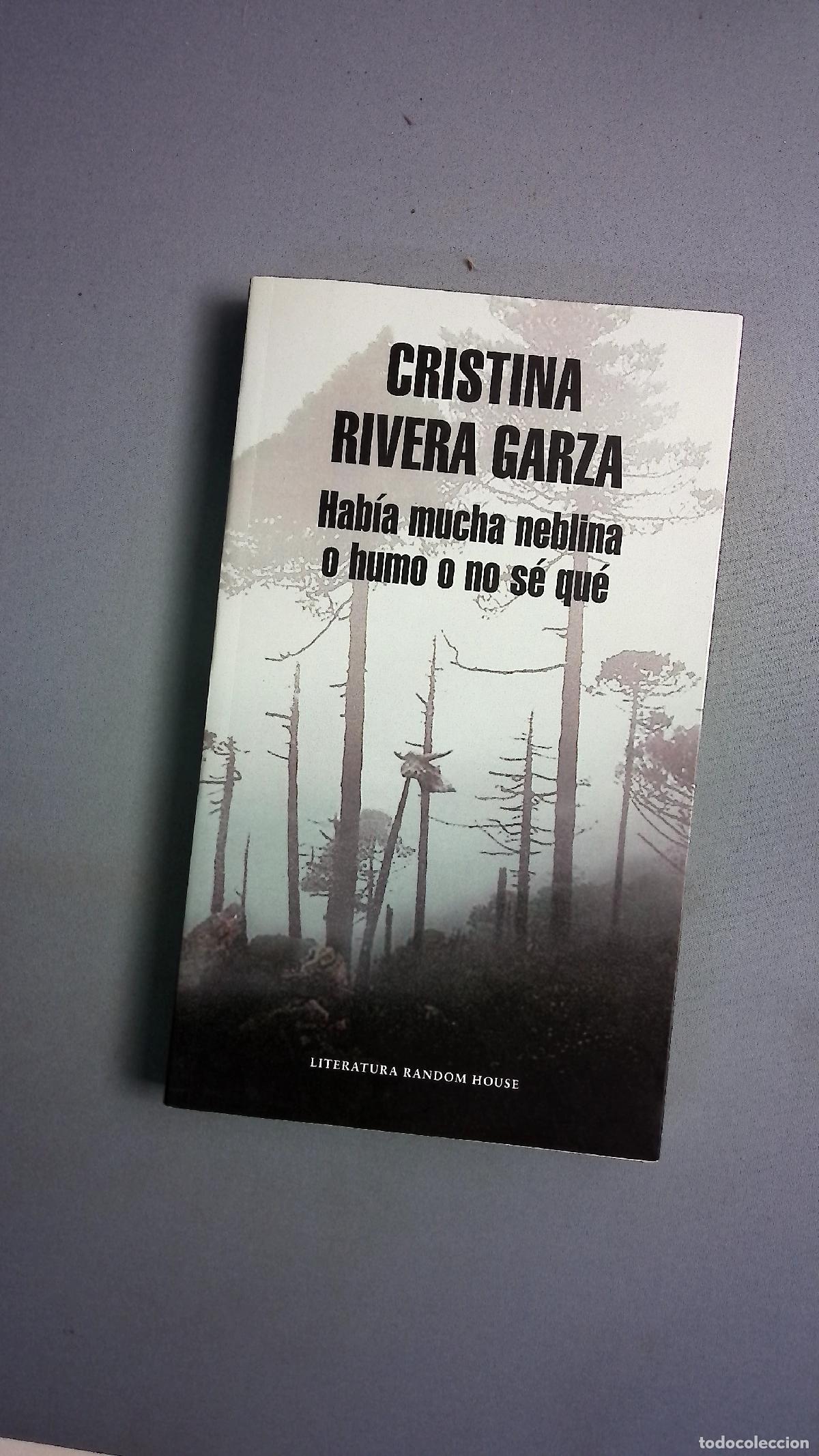 books: Hab&iacute;a mucha neblina o humo o no s&eacute; qu&eacute;