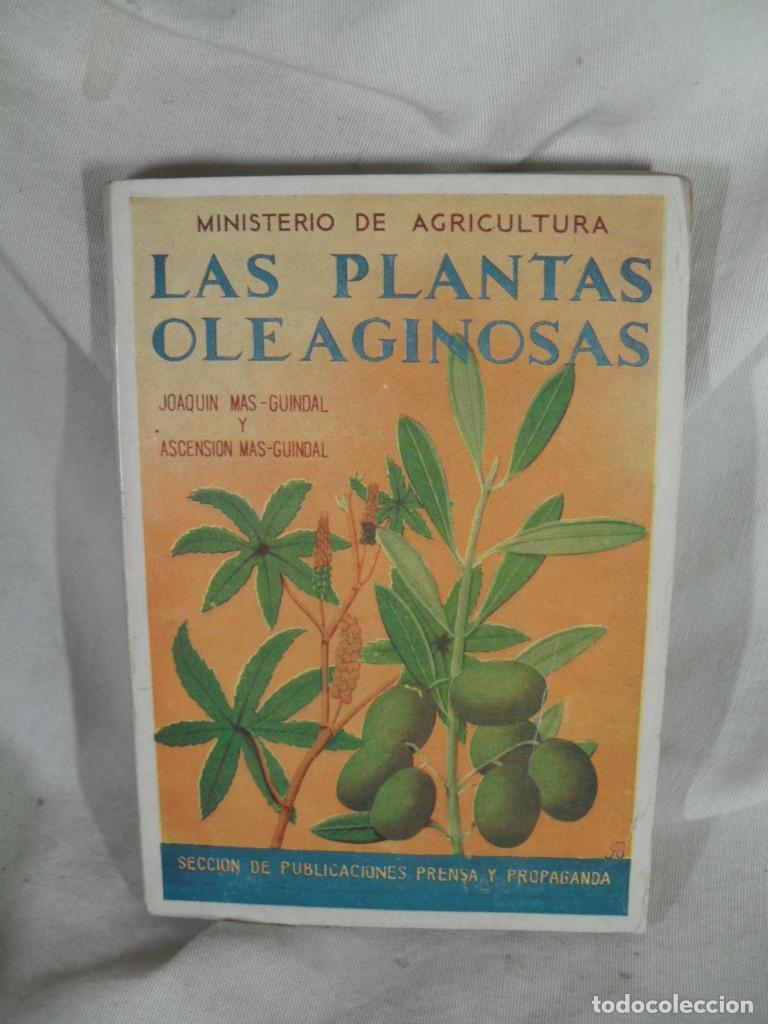 Livres: LAS PLANTAS OLEAGINOSAS - JOAQUIN Y ASCENSION MAS-GUINDAL