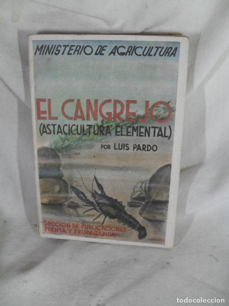 Livres: EL CANGREJO ASTACICULTURA ELEMENTAL - LUIS PARDO