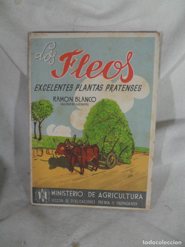Livres: LOS FLEOS - RAMON BLANCO