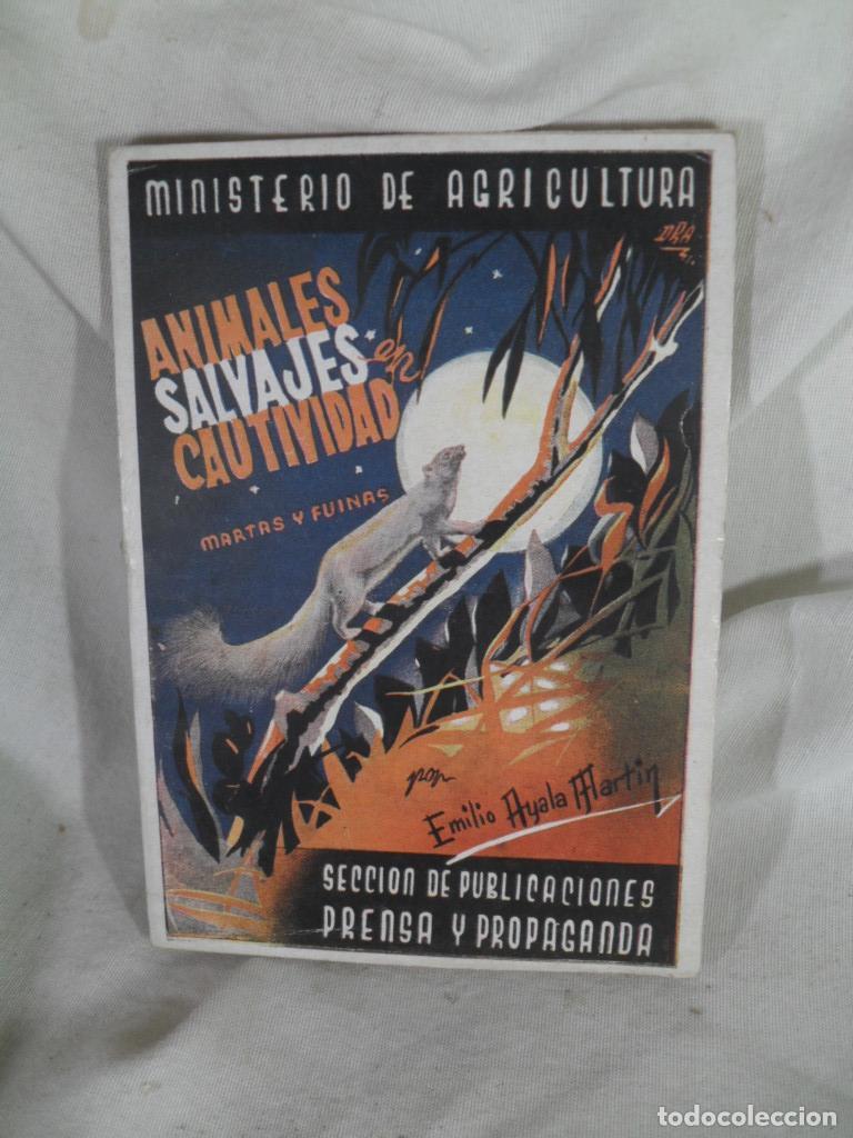Livres: ANIMALES SALVAJES EN CAUTIVIDAD - EMILIO AYALA MARTIN
