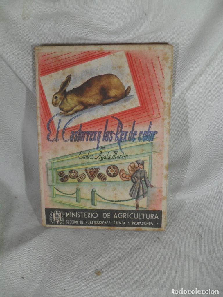 Livres: EL CAASTOREX Y LOS REX DE COLOR - EMILIO AYALA MARTIN