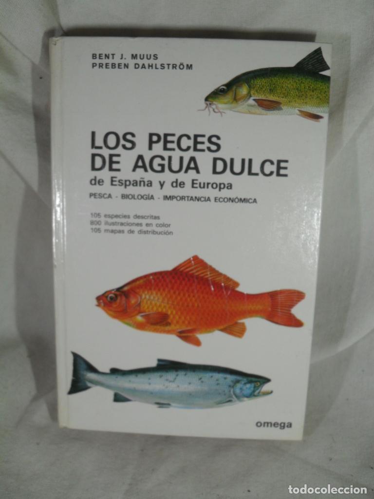 Livres: LOS PECES DE AGUA DULCE DE ESPA&Ntilde;A Y DE EUROPA - BENT MUUS - PREBEN DAHLSTROM