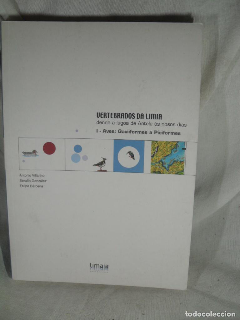Livres: VERTEBRADOS DA LIMIA AVES GAVIFORMES A PICIFORMES - VILLARINO-GONZALEZ-BARCENA