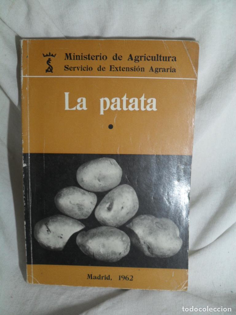 B&uuml;cher: LA PATATA 1 - VARIOS