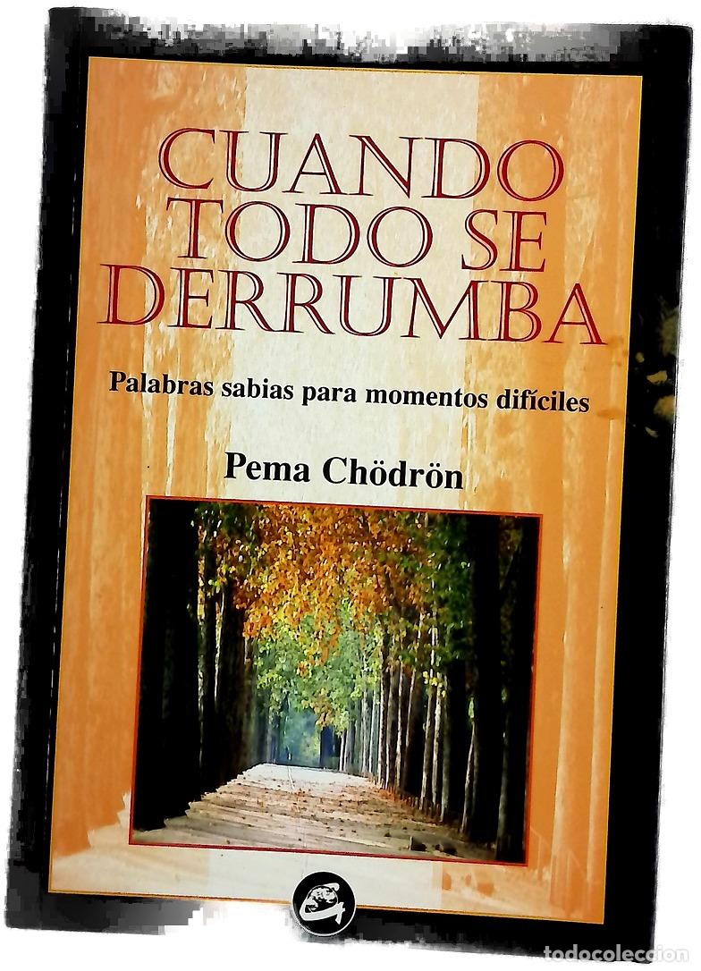 Libros: Cuando todo se derrumba palabras sabias para momentos dif&iacute;ciles