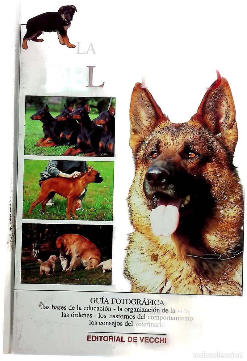 B&uuml;cher: La educaci&oacute;n del perro - Desachy, Florence
