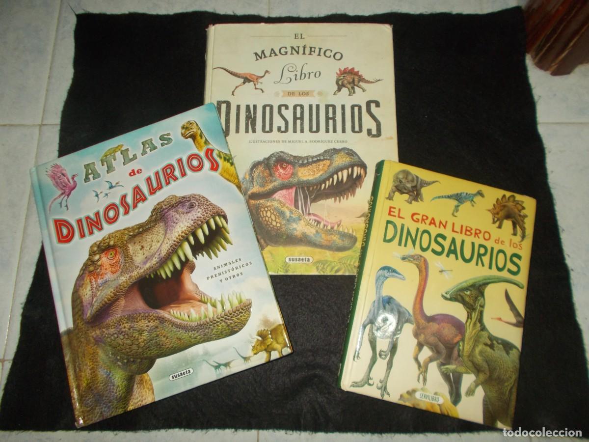 Libros: Lote 3 Libros DINOSAURIOS: Atlas, Gran Libro y Magn&iacute;fico Libro. Susaeta Servilibro. Ver y Leer