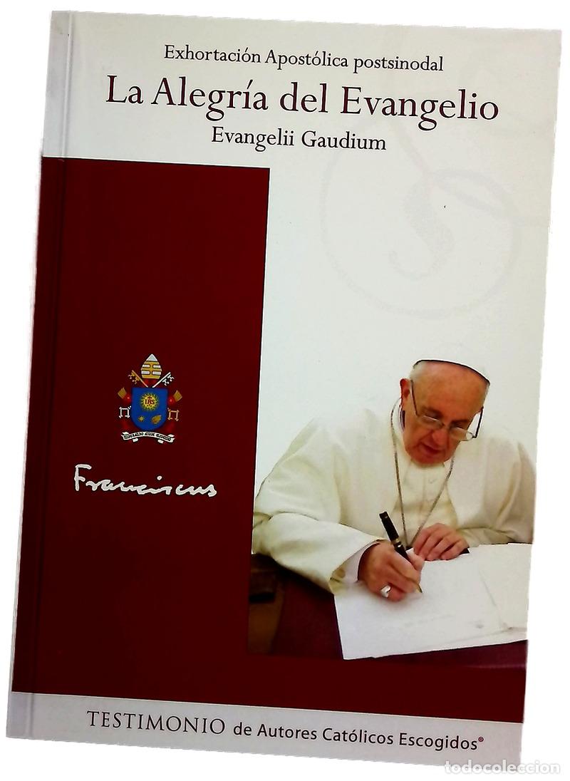 B&uuml;cher: La alegr&iacute;a del Evangelio : Evangelii Gaudium