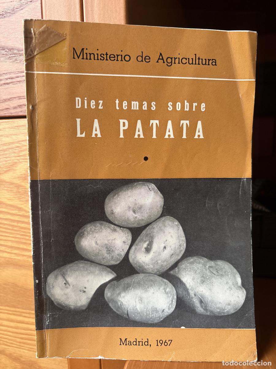 books: DIEZ TEMAS SOBRE LA PATATA - FERNANDO PASTOR, DESIDERIO VIDAL JUAN RODRIGUEZ, JOSE DEL CA&Ntilde;IZO. TDK38