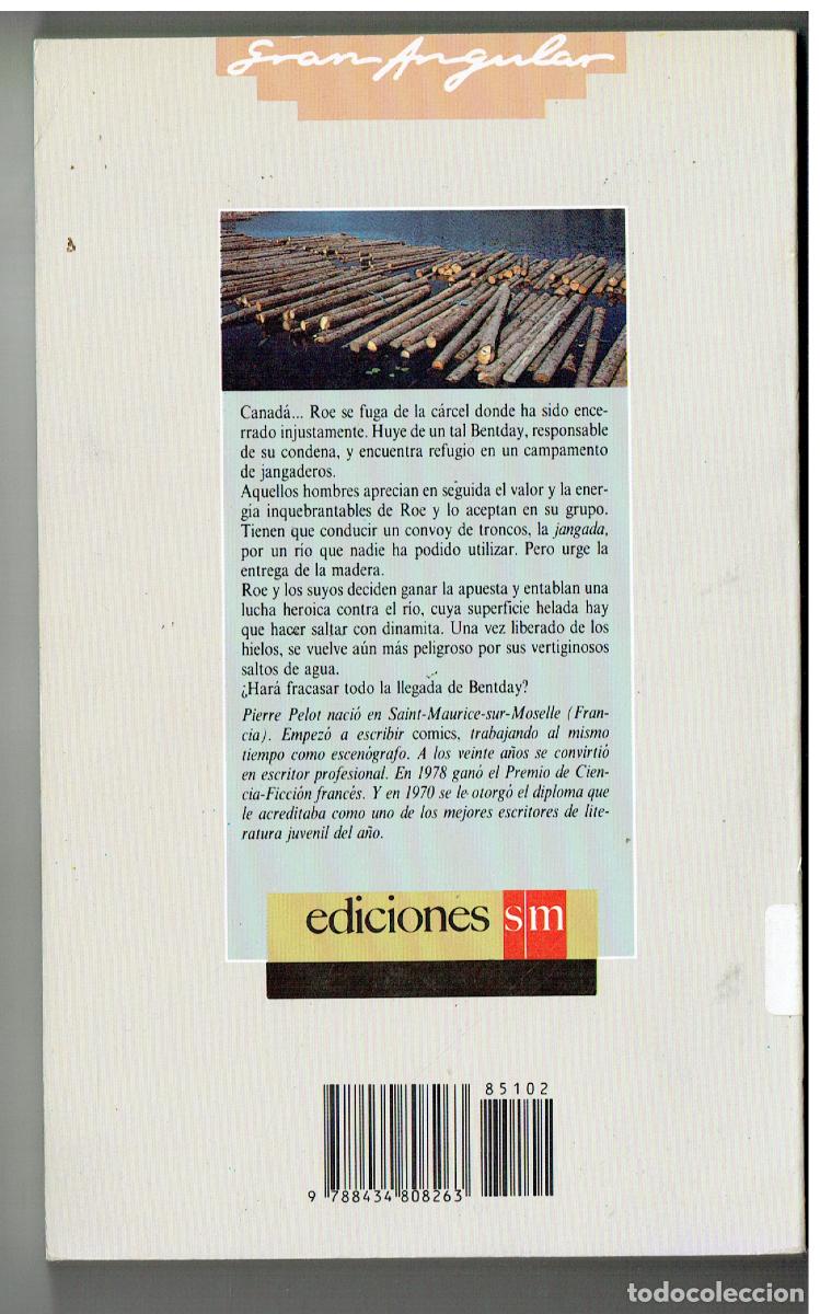 Libros: LA JANGADA. PIERRE PELOT. EDC. SM. 1989. (ST/PR4) - Foto 2