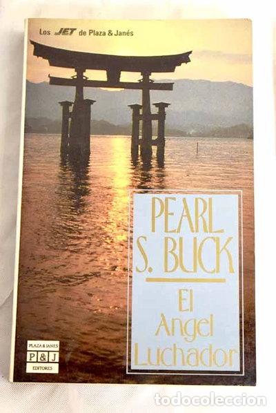 Libros: El &aacute;ngel luchador- 9788401497681