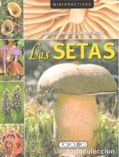 Livres: Las setas- 9788498068061